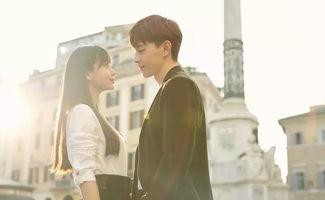 最新电视剧2019,光影交织，情感共鸣